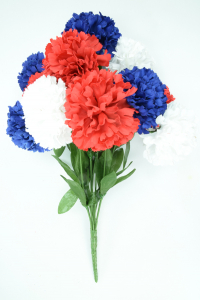 Red, White, and Blue Carnation Bush x12  (Lot of 1) SALE ITEM